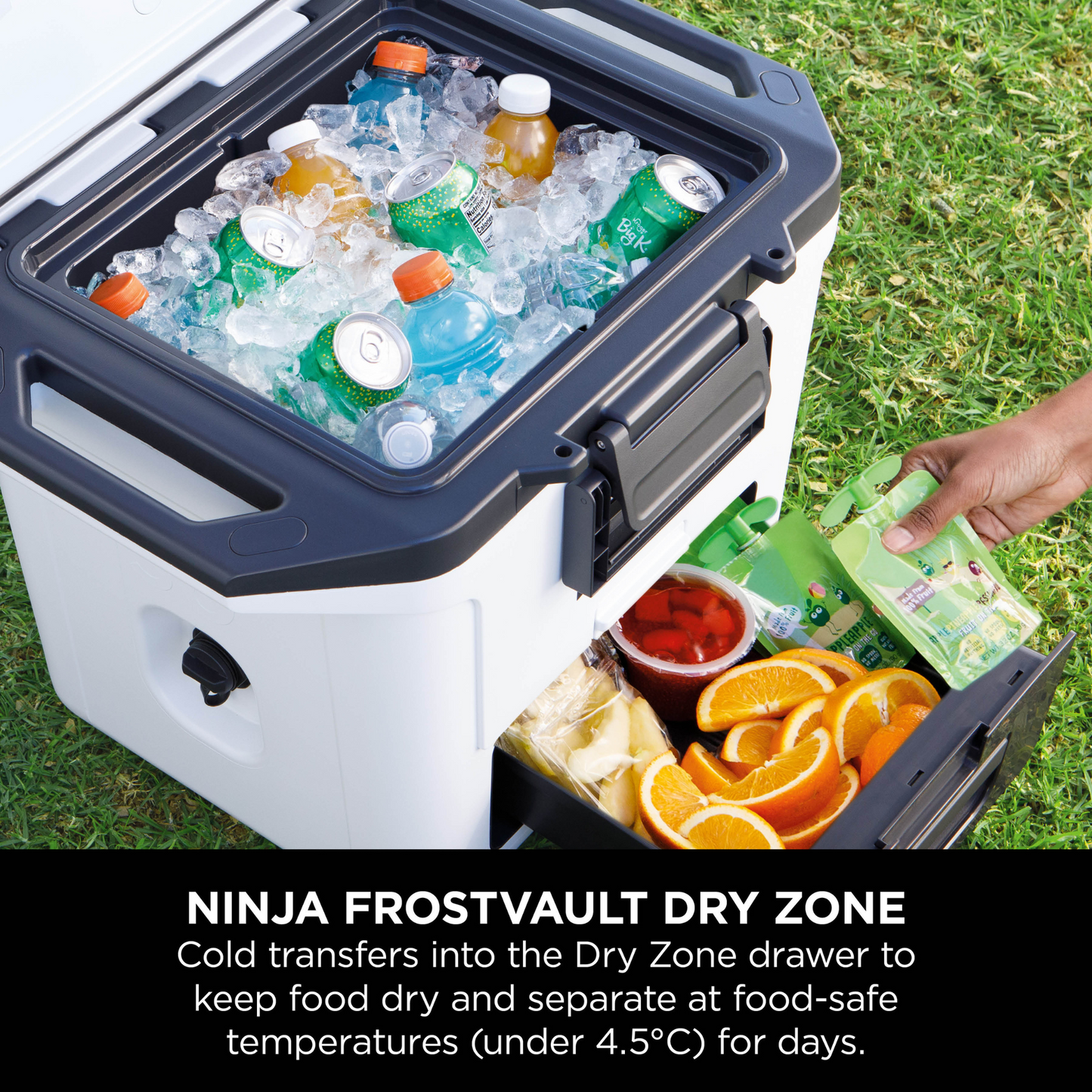 Ninja FrostVault 30QT/28L Hard Cooler - Cloud White FB131UKWH