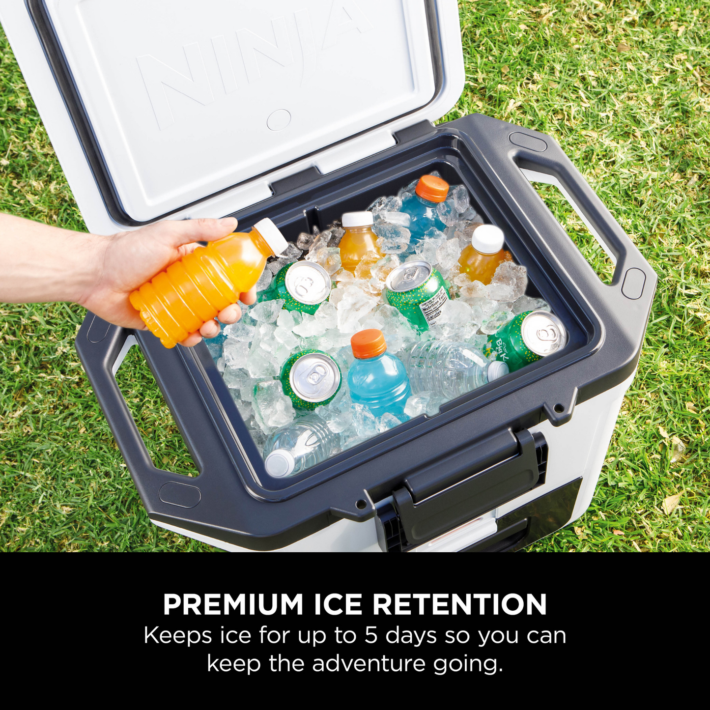 Ninja FrostVault 30QT/28L Hard Cooler - Cloud White FB131UKWH