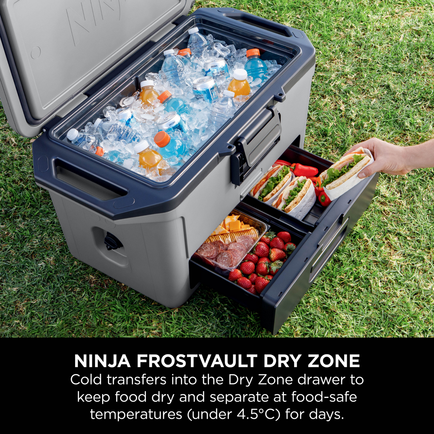 Ninja FrostVault 50QT/47L Hard Cooler - Slate Grey FB151UKGY