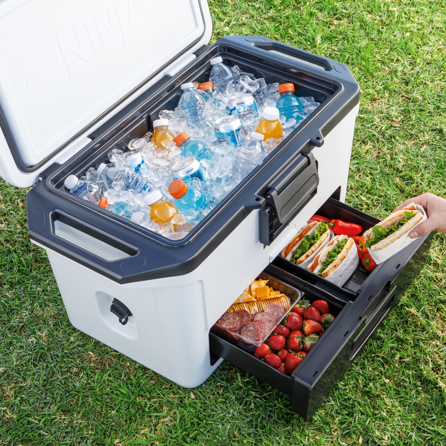 Ninja FrostVault 50QT/47L Hard Cooler - Cloud White FB151UKWH