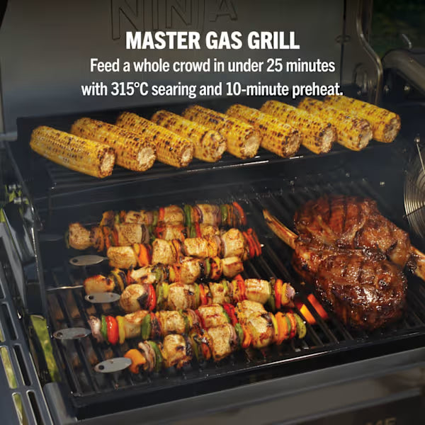 Ninja FlexFlame ProConnect Gas BBQ & Outdoor Cooking System PG305UK